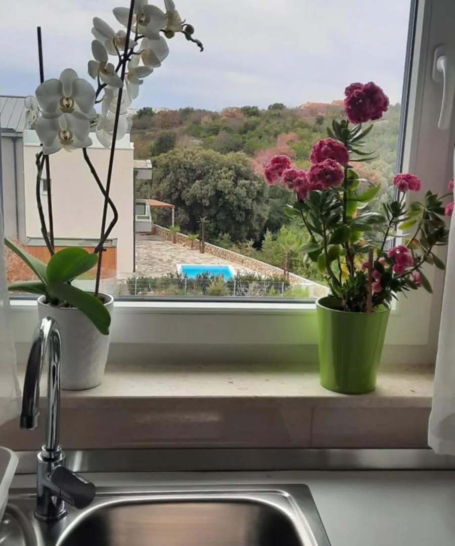 Apartment Nena Krk Town