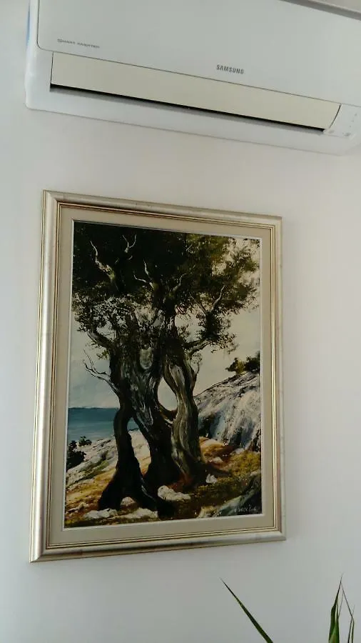 Apartment Nena Krk Town 0*,
